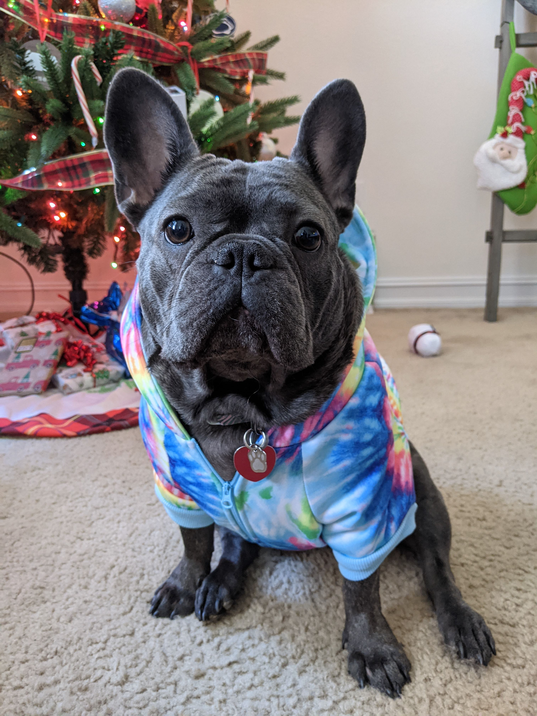 Cover Image of Creating A Perfect Christmas Feeling